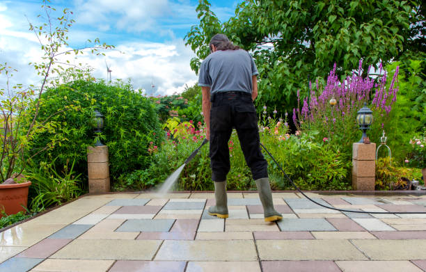 Best Roof Cleaning and Mildew Removal in St Bonifacius, MN